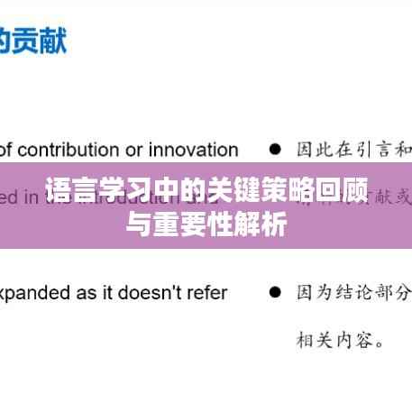 语言学习中的关键策略回顾与重要性解析