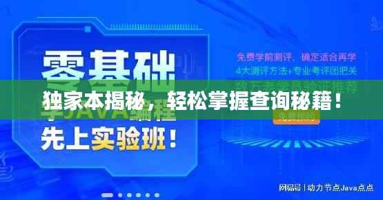 独家本揭秘，轻松掌握查询秘籍！