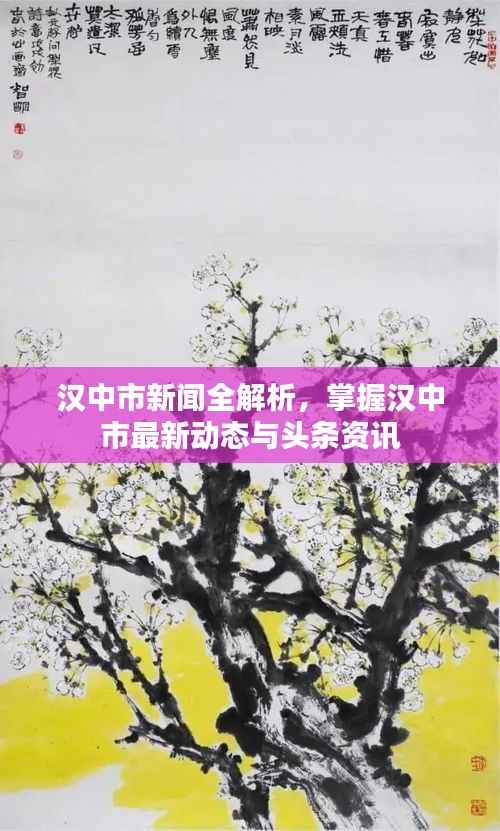 汉中市新闻全解析，掌握汉中市最新动态与头条资讯