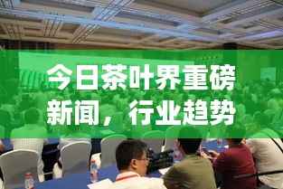 今日茶叶界重磅新闻,行业趋势与市场动态一网打尽