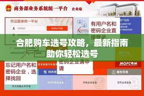 合肥购车选号攻略，最新指南助你轻松选号