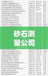 砂石测量公司排名揭秘,行业内顶尖企业榜单