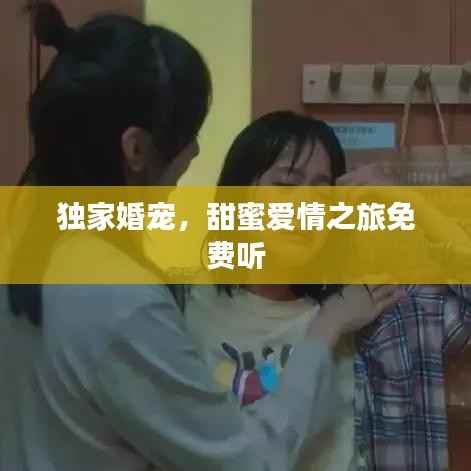 独家婚宠,甜蜜爱情之旅免费听