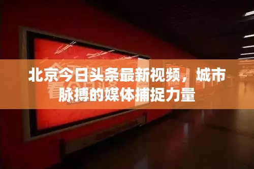 北京今日头条最新视频,城市脉搏的媒体捕捉力量