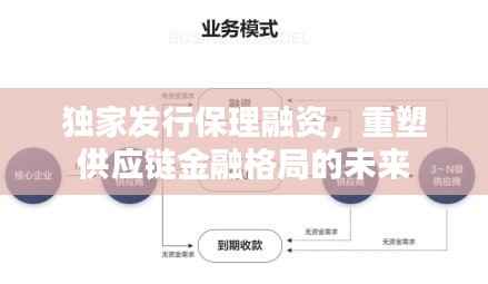 独家发行保理融资，重塑供应链金融格局的未来