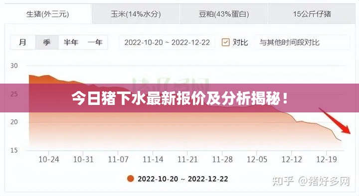 今日猪下水最新报价及分析揭秘！
