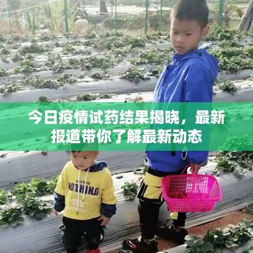 今日疫情试药结果揭晓，最新报道带你了解最新动态