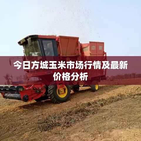 今日方城玉米市场行情及最新价格分析