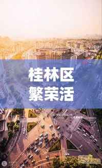 桂林区繁荣活力之源,揭秘排名前十的奥秘!