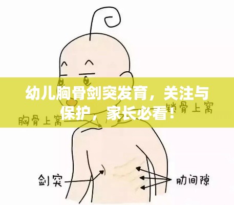 幼儿胸骨剑突发育,关注与保护,家长必看!