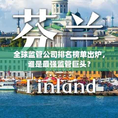 全球监管公司排名榜单出炉，谁是最强监管巨头？