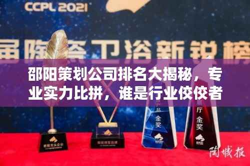 邵阳策划公司排名大揭秘，专业实力比拼，谁是行业佼佼者？