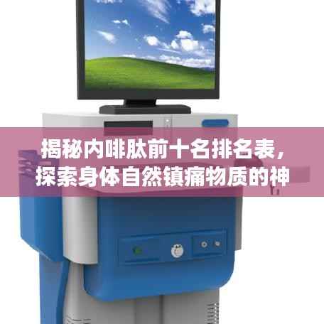 无影无踪 第4页