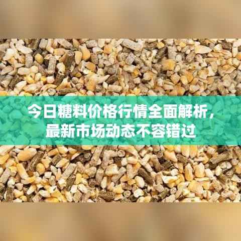 今日糖料价格行情全面解析,最新市场动态不容错过