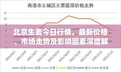 北京生姜今日行情，最新价格、市场走势及影响因素深度解析