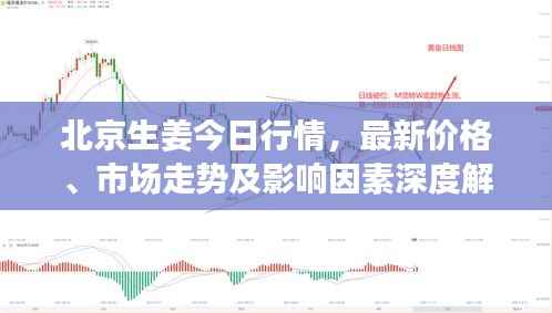 北京生姜今日行情,最新价格、市场走势及影响因素深度解析