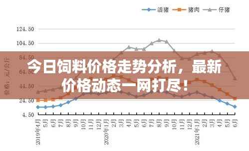 今日饲料价格走势分析，最新价格动态一网打尽！