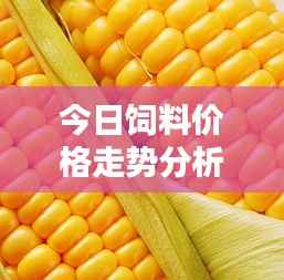 今日饲料价格走势分析,最新价格动态一网打尽!