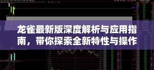 龙雀最新版深度解析与应用指南，带你探索全新特性与操作技巧！