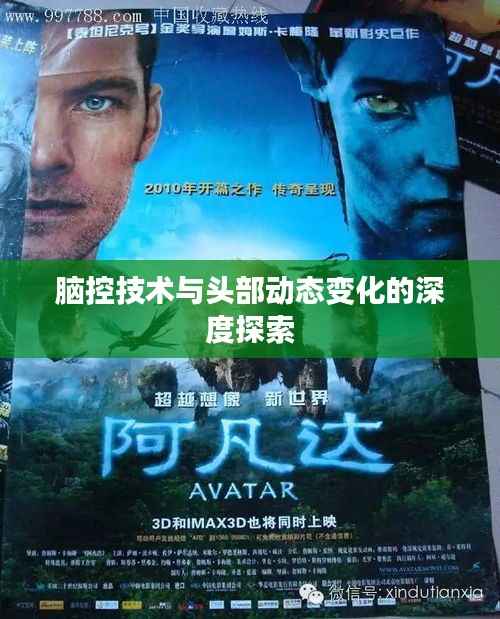 手不释卷 第4页