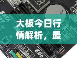 大板今日行情解析,最新报价与市场动态全掌握