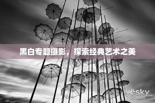 黑白专题摄影,探索经典艺术之美