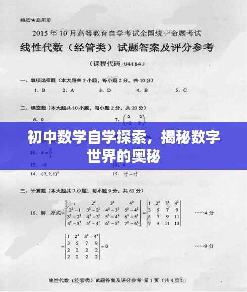 初中数学自学探索，揭秘数字世界的奥秘