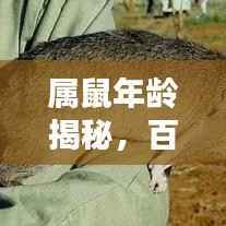 属鼠年龄揭秘,百度一下,答案在这里