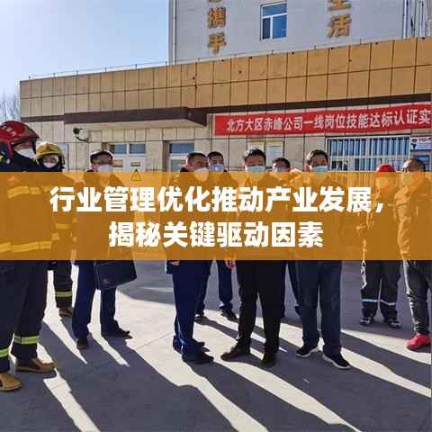 行业管理优化推动产业发展,揭秘关键驱动因素