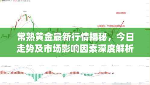 常熟黄金最新行情揭秘,今日走势及市场影响因素深度解析