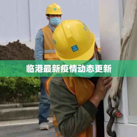 临港最新疫情动态更新