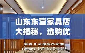 山东东营家具店大揭秘，选购优质家具的不二之选！