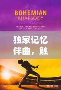 独家记忆伴曲，触动心灵深处的旋律