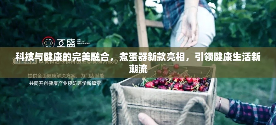 科技与健康的完美融合,煮蛋器新款亮相,引领健康生活新潮流