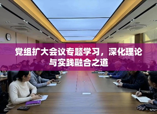 党组扩大会议专题学习，深化理论与实践融合之道