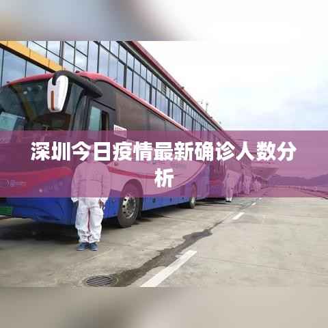 深圳今日疫情最新确诊人数分析