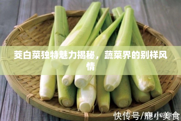 茭白菜独特魅力揭秘,蔬菜界的别样风情
