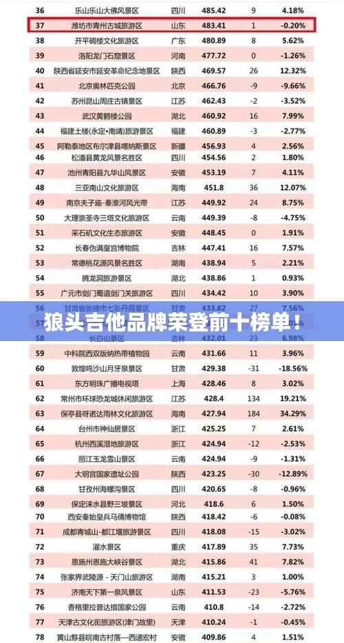 狼头吉他品牌荣登前十榜单!