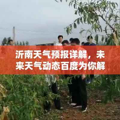 沂南天气预报详解,未来天气动态百度为你解析