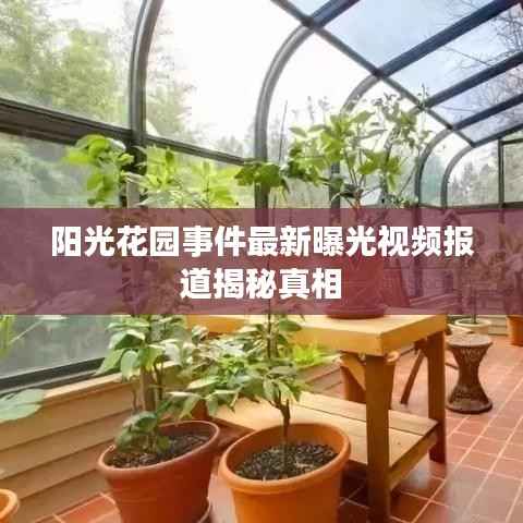 阳光花园事件最新曝光视频报道揭秘真相