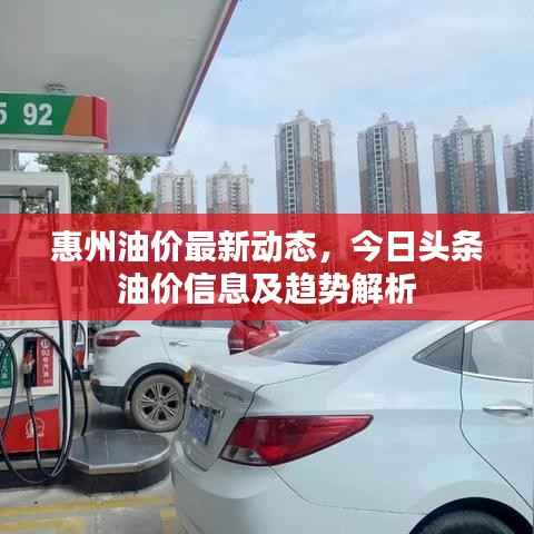 惠州油价最新动态，今日头条油价信息及趋势解析