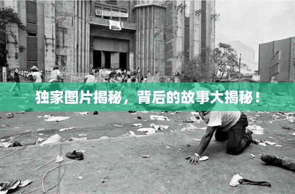 独家图片揭秘，背后的故事大揭秘！