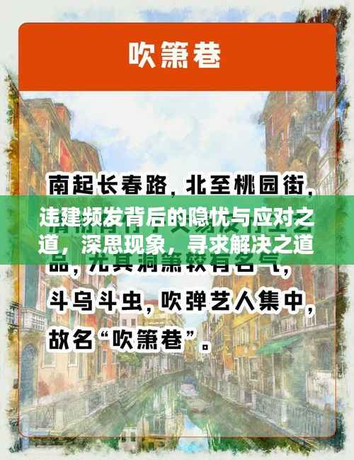 违建频发背后的隐忧与应对之道，深思现象，寻求解决之道