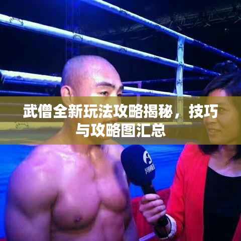 武僧全新玩法攻略揭秘，技巧与攻略图汇总