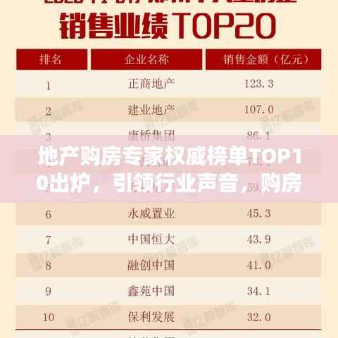 地产购房专家权威榜单TOP10出炉，引领行业声音，购房指南必备参考