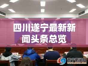 四川遂宁最新新闻头条总览