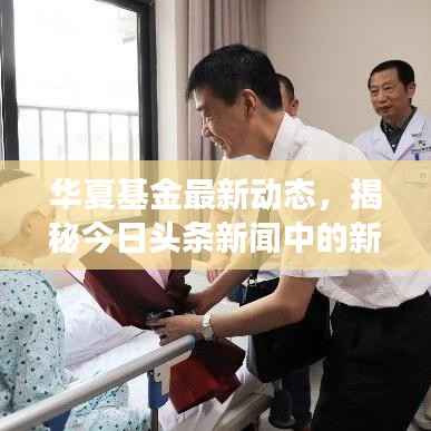 华夏基金最新动态,揭秘今日头条新闻中的新进展