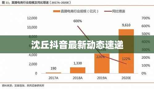 沈丘抖音最新动态速递