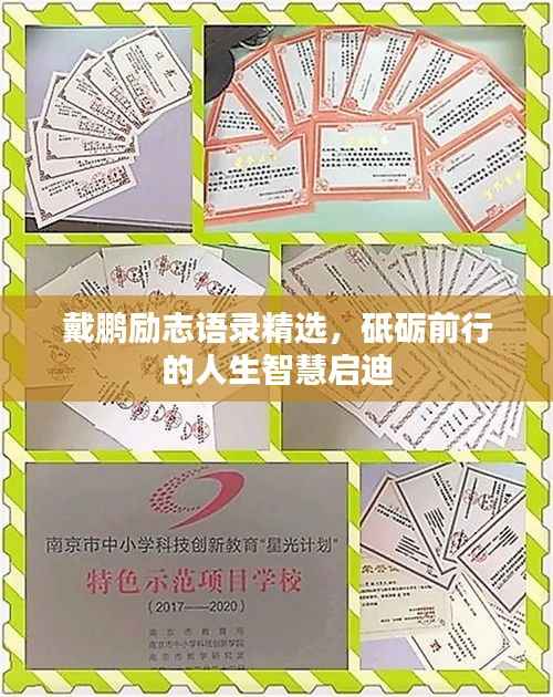 戴鹏励志语录精选，砥砺前行的人生智慧启迪