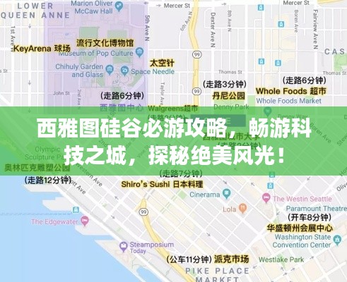 西雅图硅谷必游攻略,畅游科技之城,探秘绝美风光!